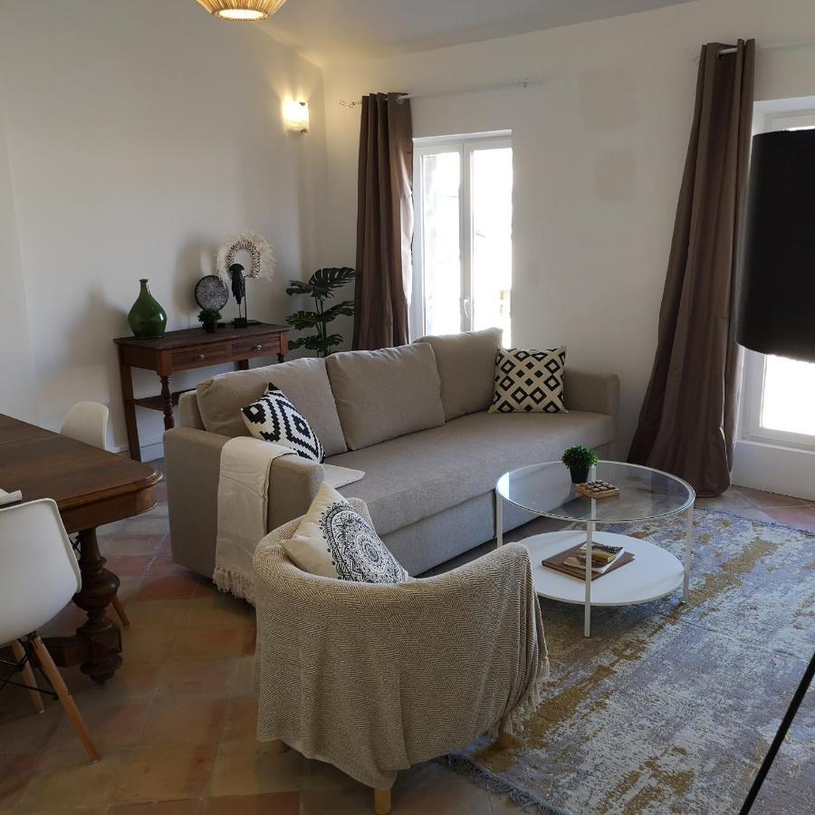 Suite Familiale Saint-Exupery-Spacieux-Hypercentre-Wifi-Velo Кастельнодарі Екстер'єр фото